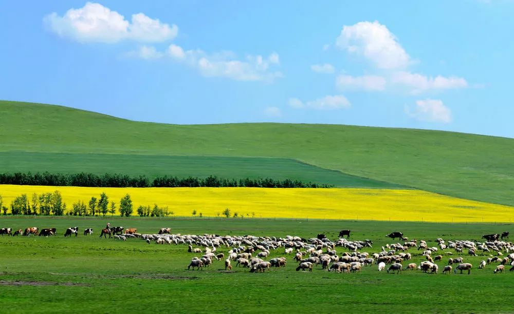 走进内蒙古，探寻自然风光与民族风情