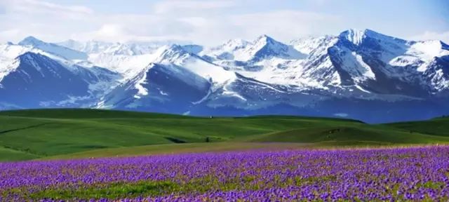 探寻新疆之美——新疆解说稿